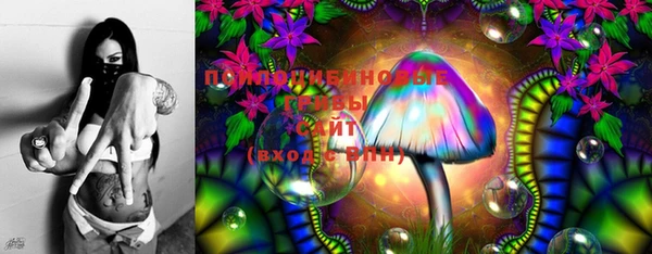прущая мука Вязники