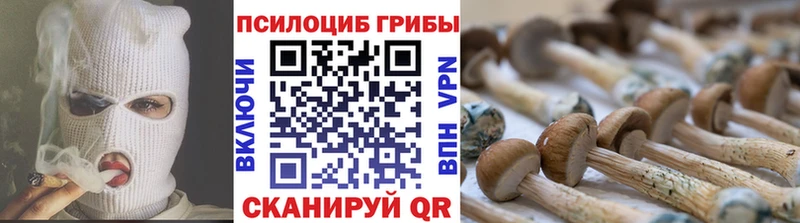 Галлюциногенные грибы GOLDEN TEACHER  купить закладку  Дно 