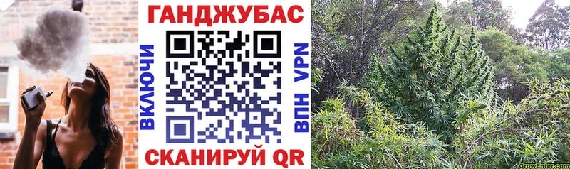 Бошки Шишки сатива  Дно 